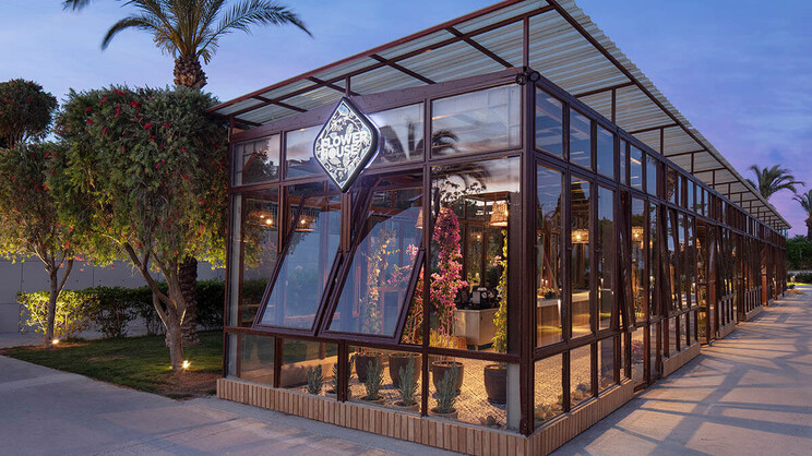 Nirvana Cosmopolitan